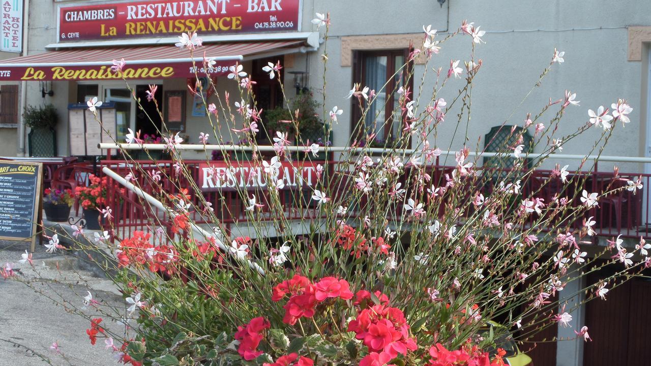 Hotel Restaurant La Renaissance Saint-Cirgues-en-Montagne Екстериор снимка